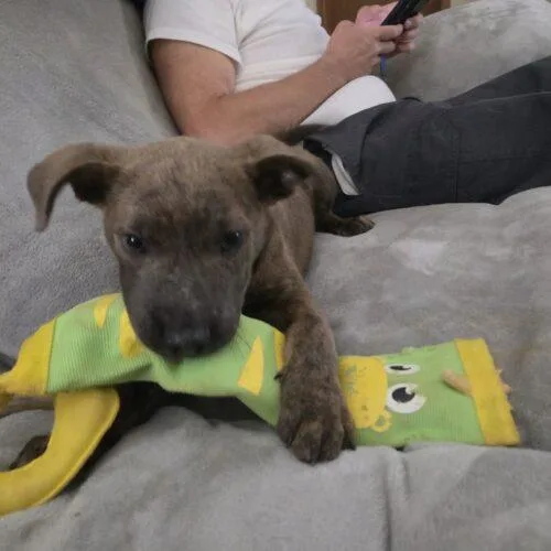 Ernie thumbnail 3