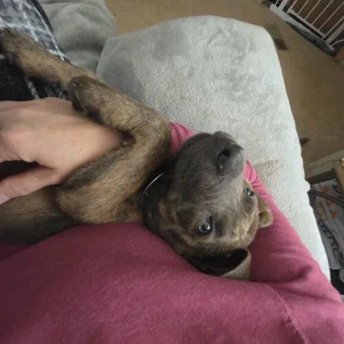 Ernie thumbnail 5
