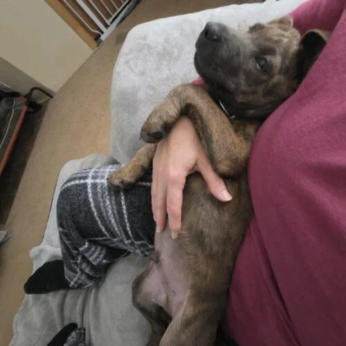Ernie thumbnail 6