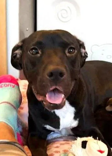 Raven Leigh thumbnail 2