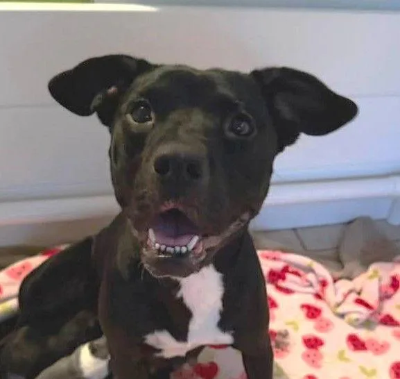 Raven Leigh thumbnail 3