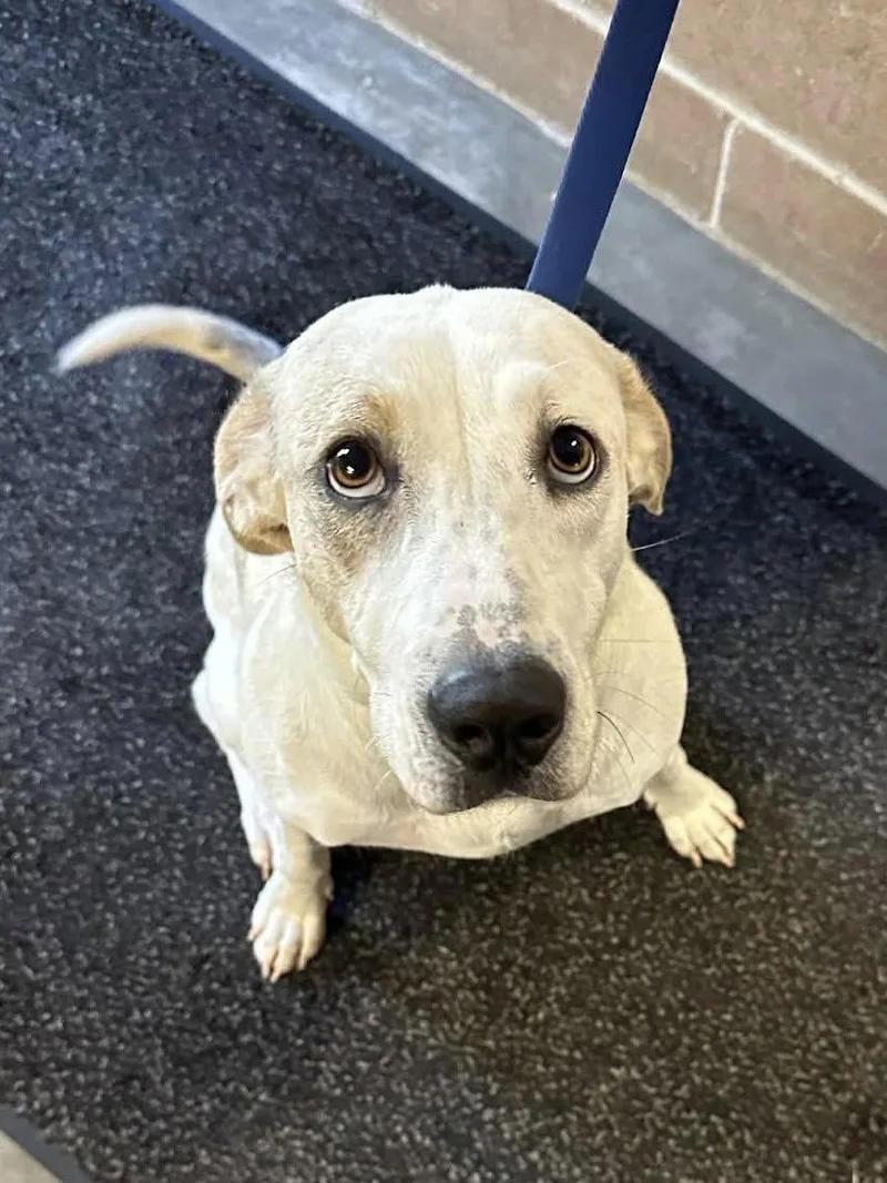 Elsa Louisiana thumbnail 2