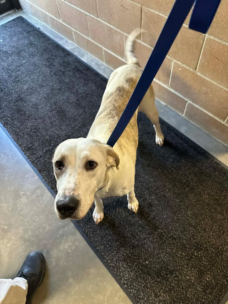 Elsa Louisiana thumbnail 3