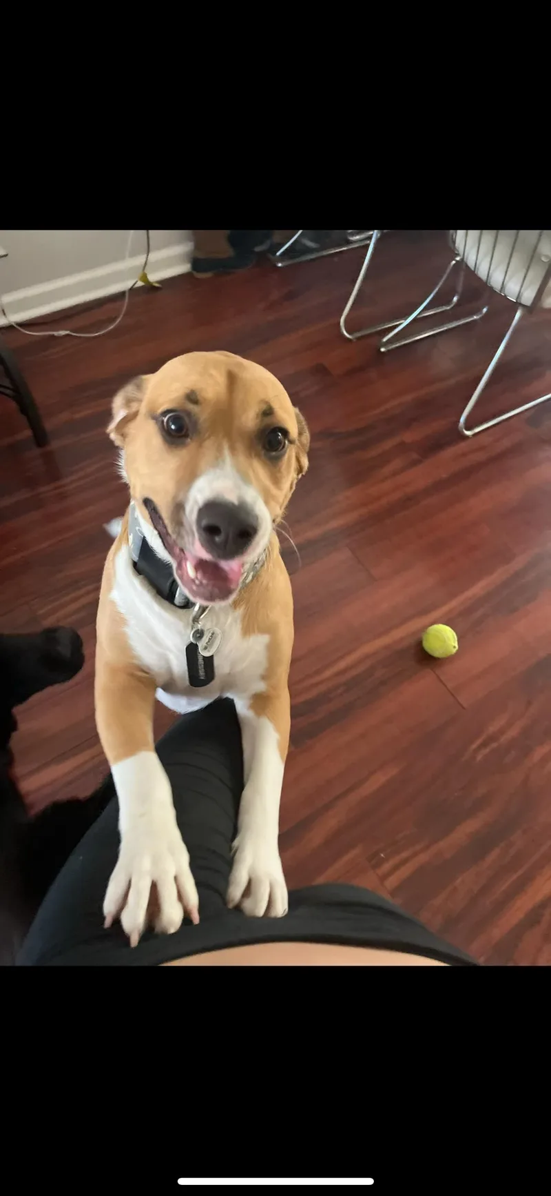 Hennessey thumbnail 2