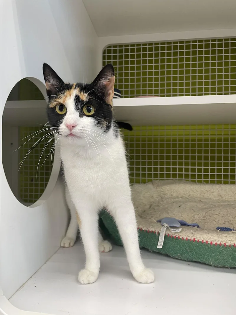 Girlfriend thumbnail 2