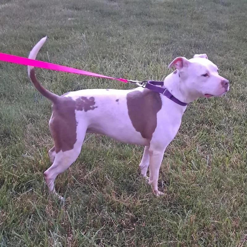 Felicity thumbnail 2