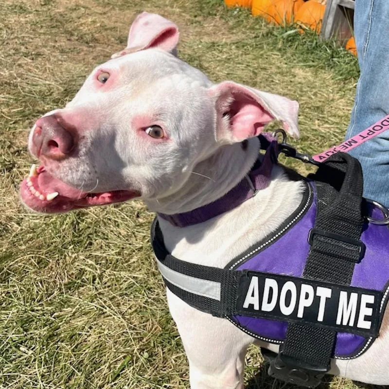 Felicity thumbnail 3