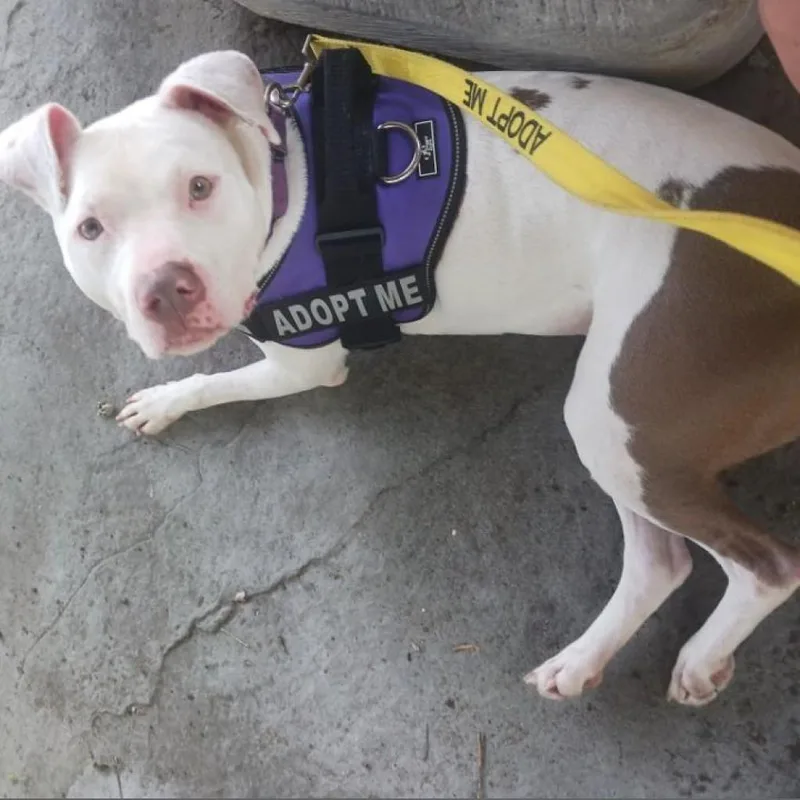 Felicity thumbnail 5