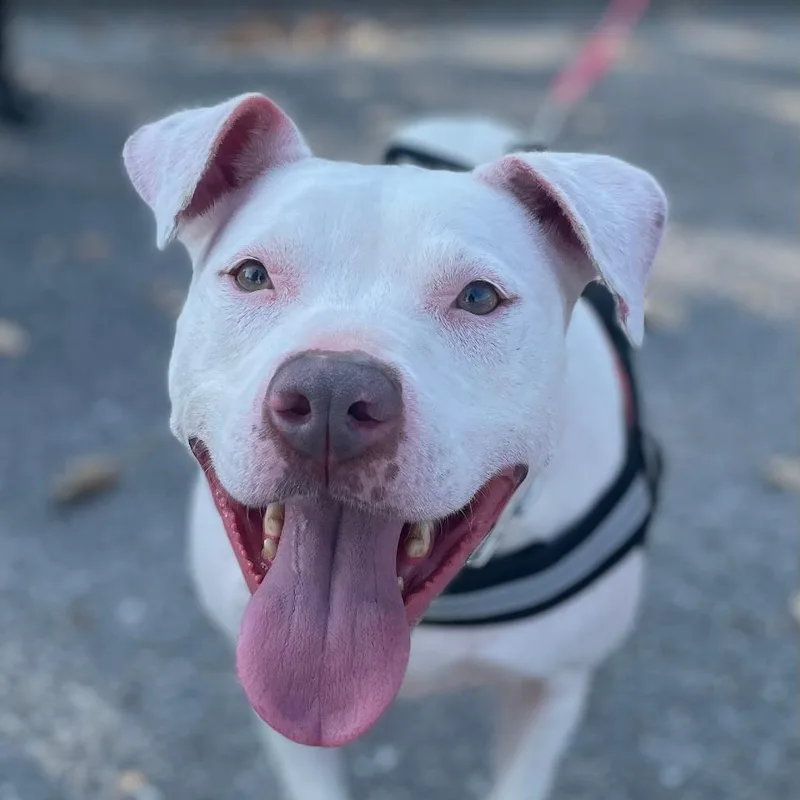 Felicity thumbnail 6