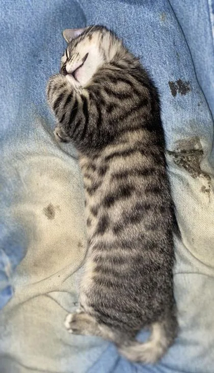 Jennifer thumbnail 2