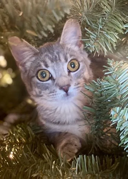 Jennifer thumbnail 3