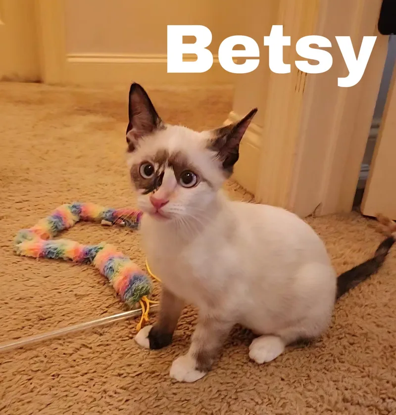 Betsy thumbnail 2