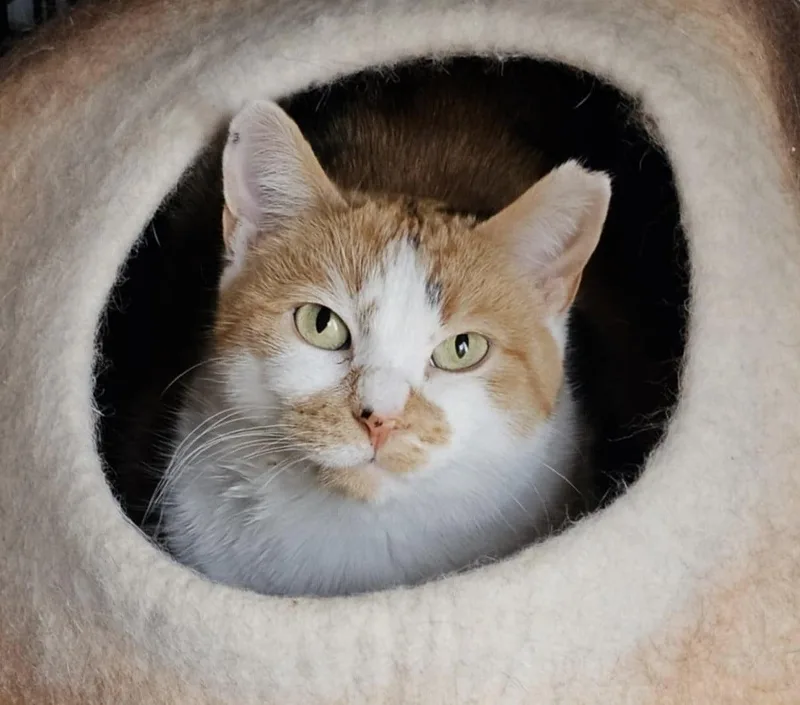 Suki & Casper thumbnail 2