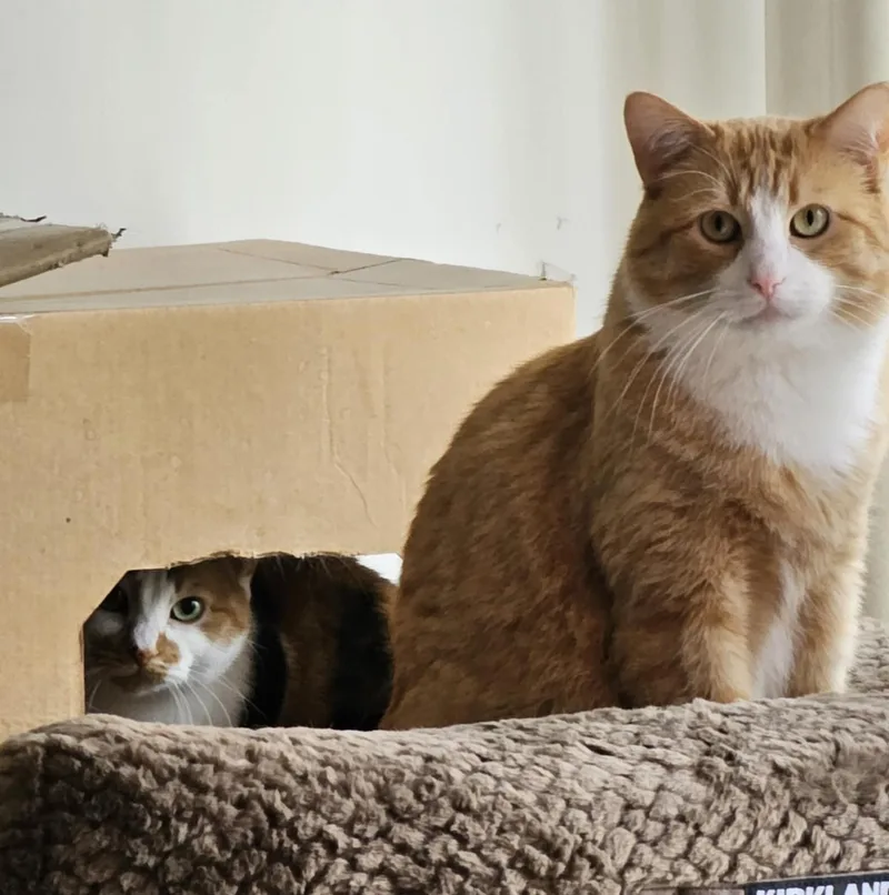 Suki & Casper thumbnail 3