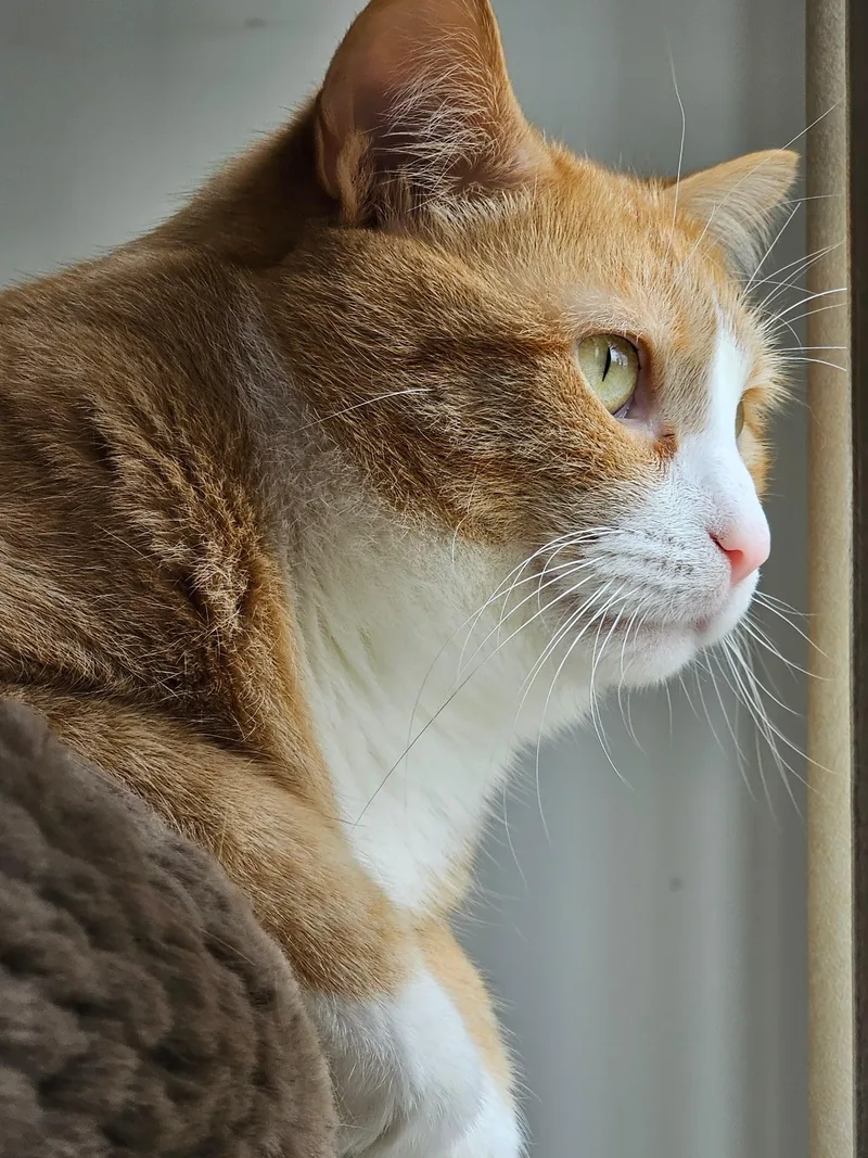 Suki & Casper thumbnail 5