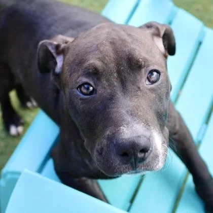 Midnight thumbnail 2