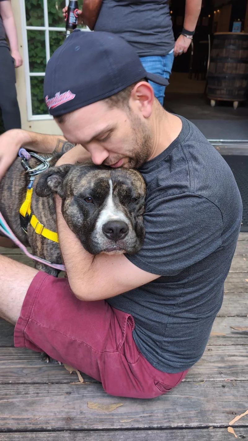 Klondike thumbnail 2