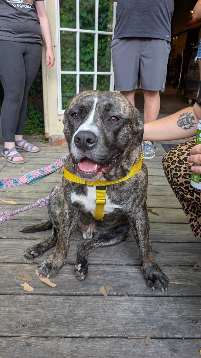 Klondike thumbnail 3