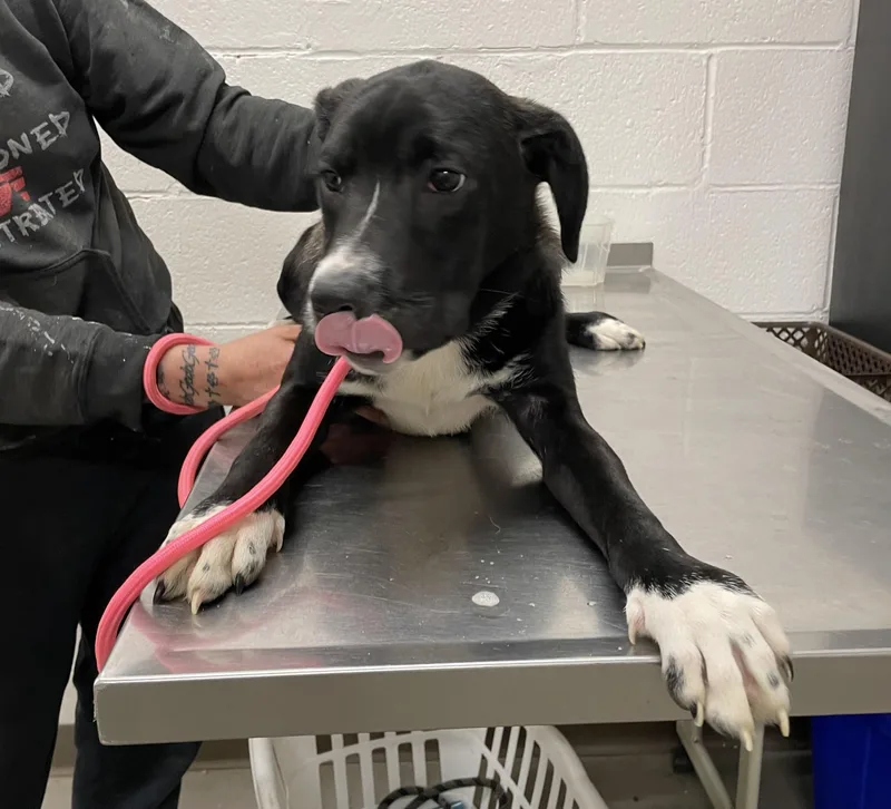 Terri Hold thumbnail 2