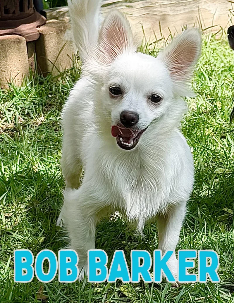 Bob Barker