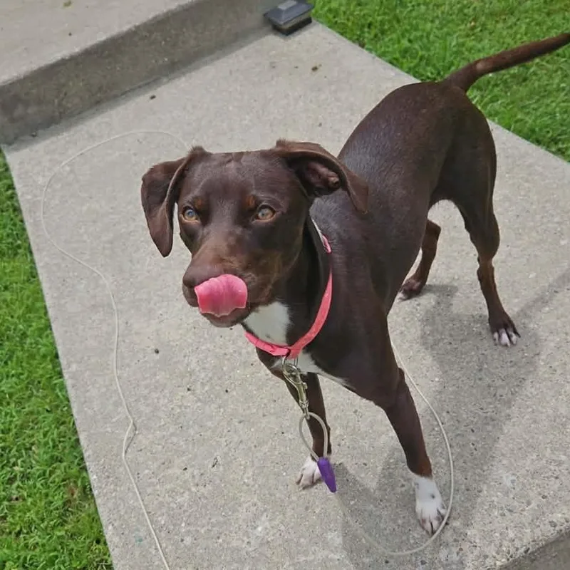 Cleo thumbnail 2