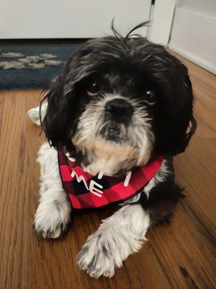 Princess thumbnail 3