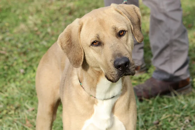 Slim Jim thumbnail 4