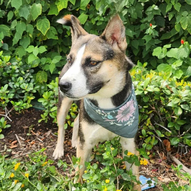 Misty Jum thumbnail 4