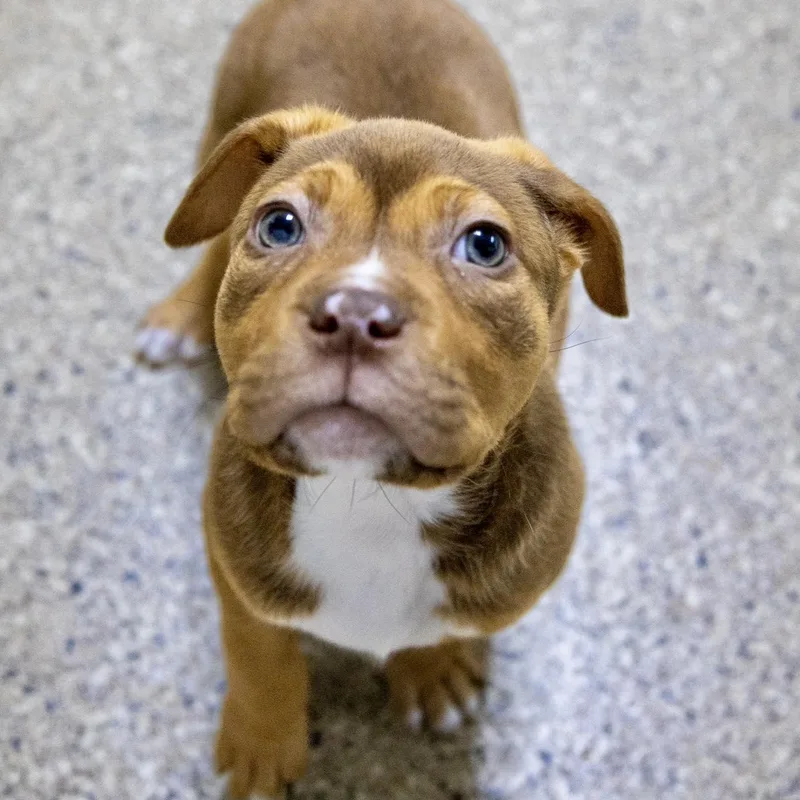 Hilary Knight thumbnail 2