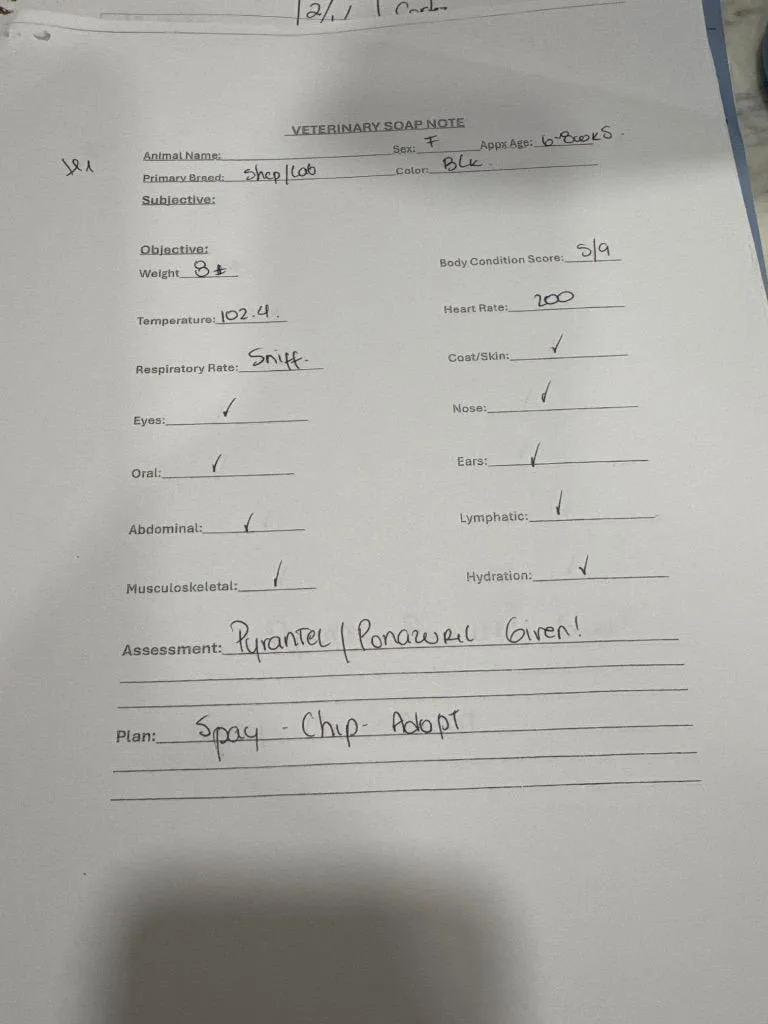 Furikake thumbnail 3