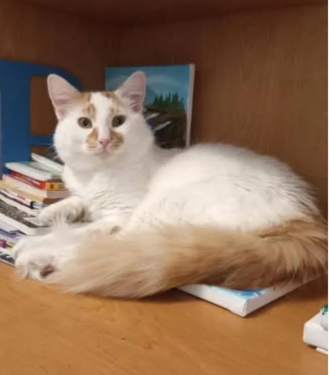 Duncan