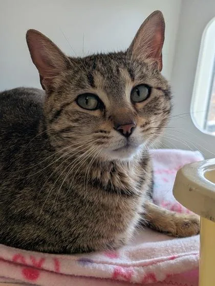 Gabby