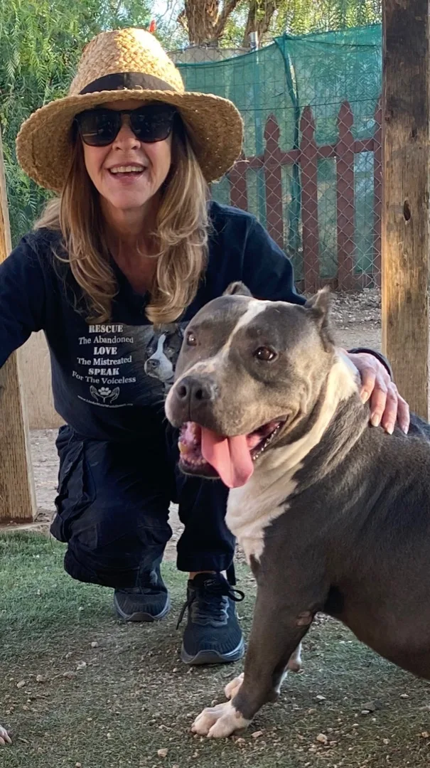 Awesome Fun Easy Silly