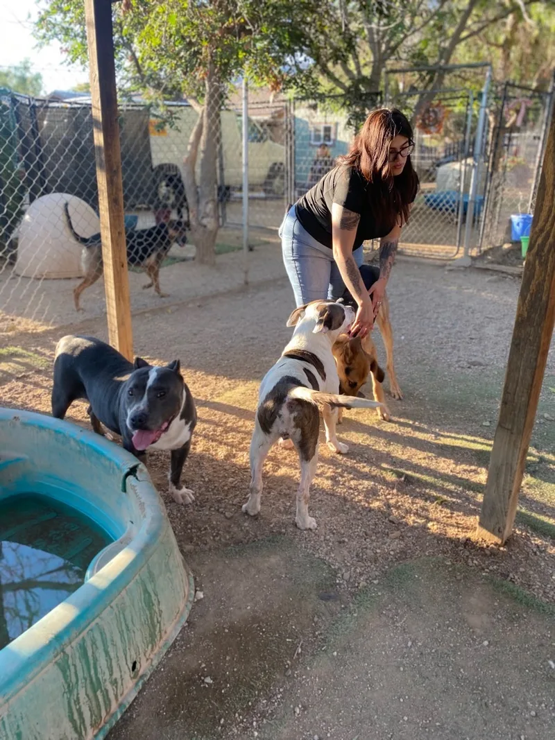 Awesome Fun Easy Silly thumbnail 3