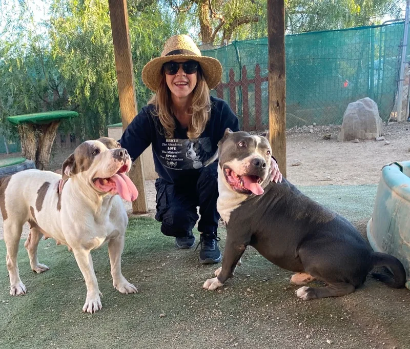 Awesome Fun Easy Silly thumbnail 5