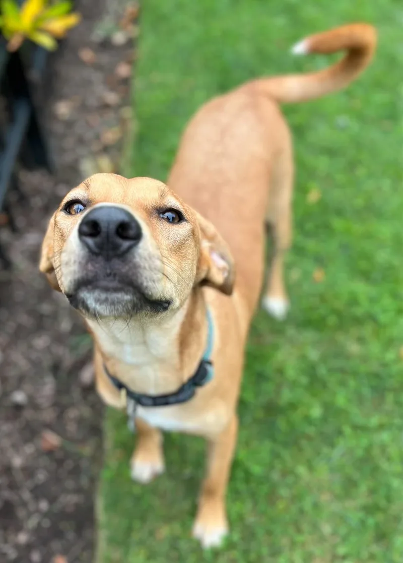 Bailey thumbnail 3