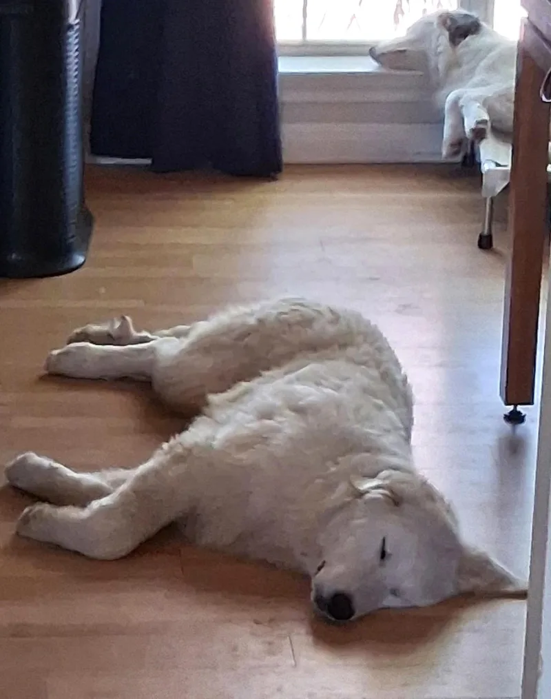 Huck Sat thumbnail 2