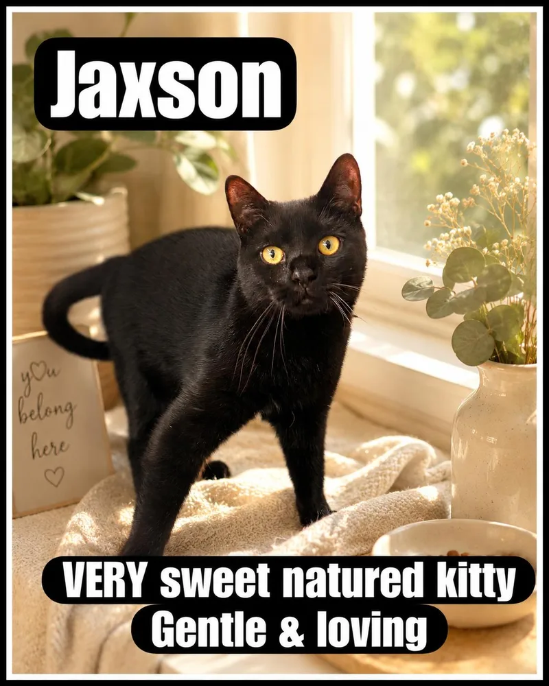 Jaxsonwillow Grove