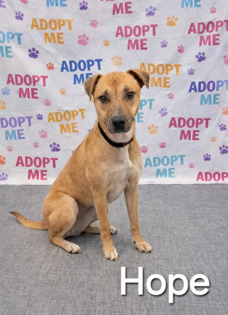 Hope Yrly thumbnail 2