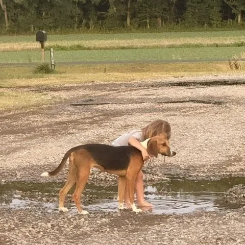 Suzie  gorgeous playful thumbnail 3