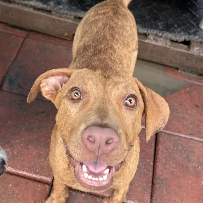 Christine thumbnail 2