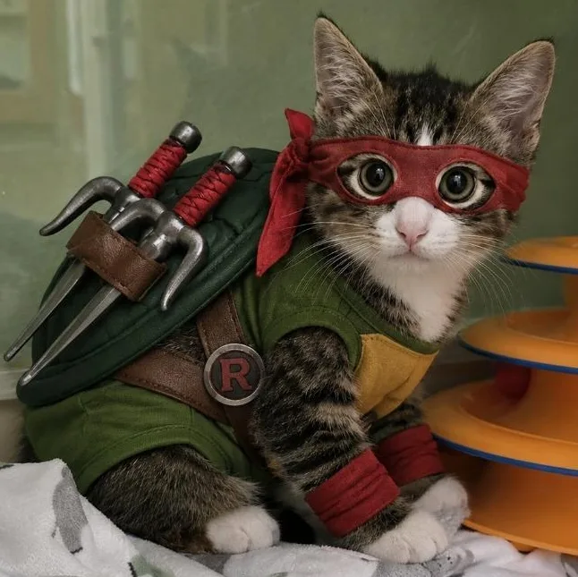 Raphael thumbnail 3