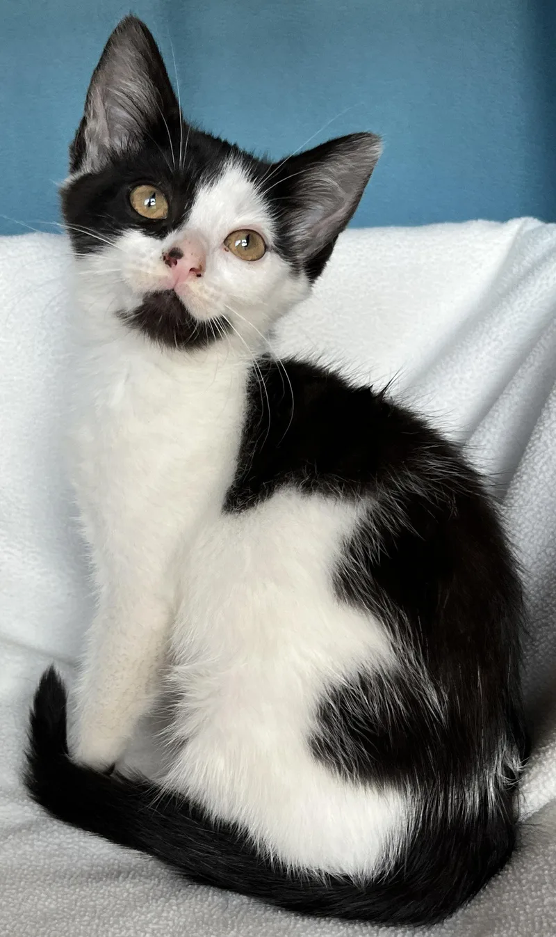 Fiona
