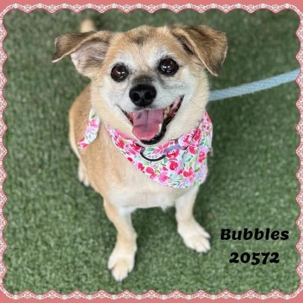 Bubbles thumbnail 2
