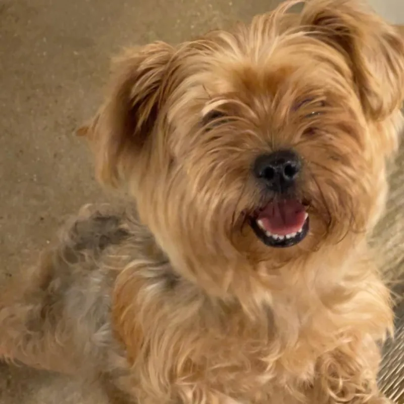 Tiffany