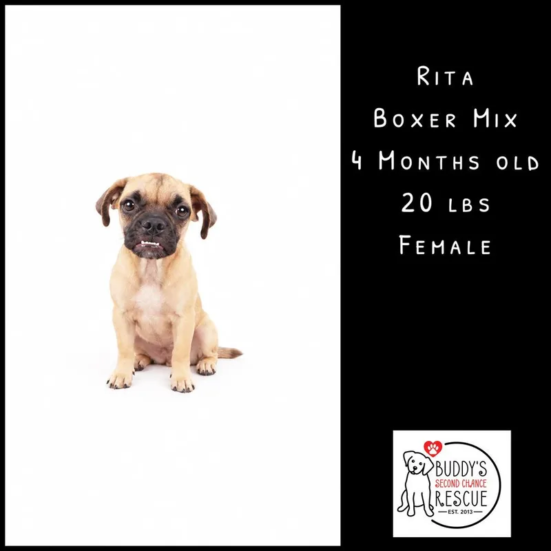 Rita thumbnail 6