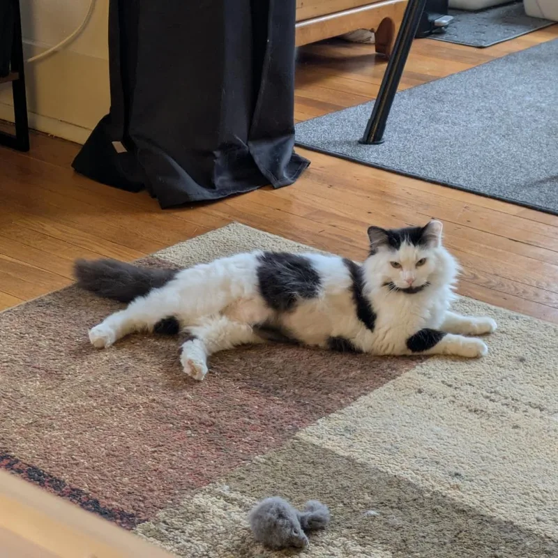 Felicity thumbnail 5