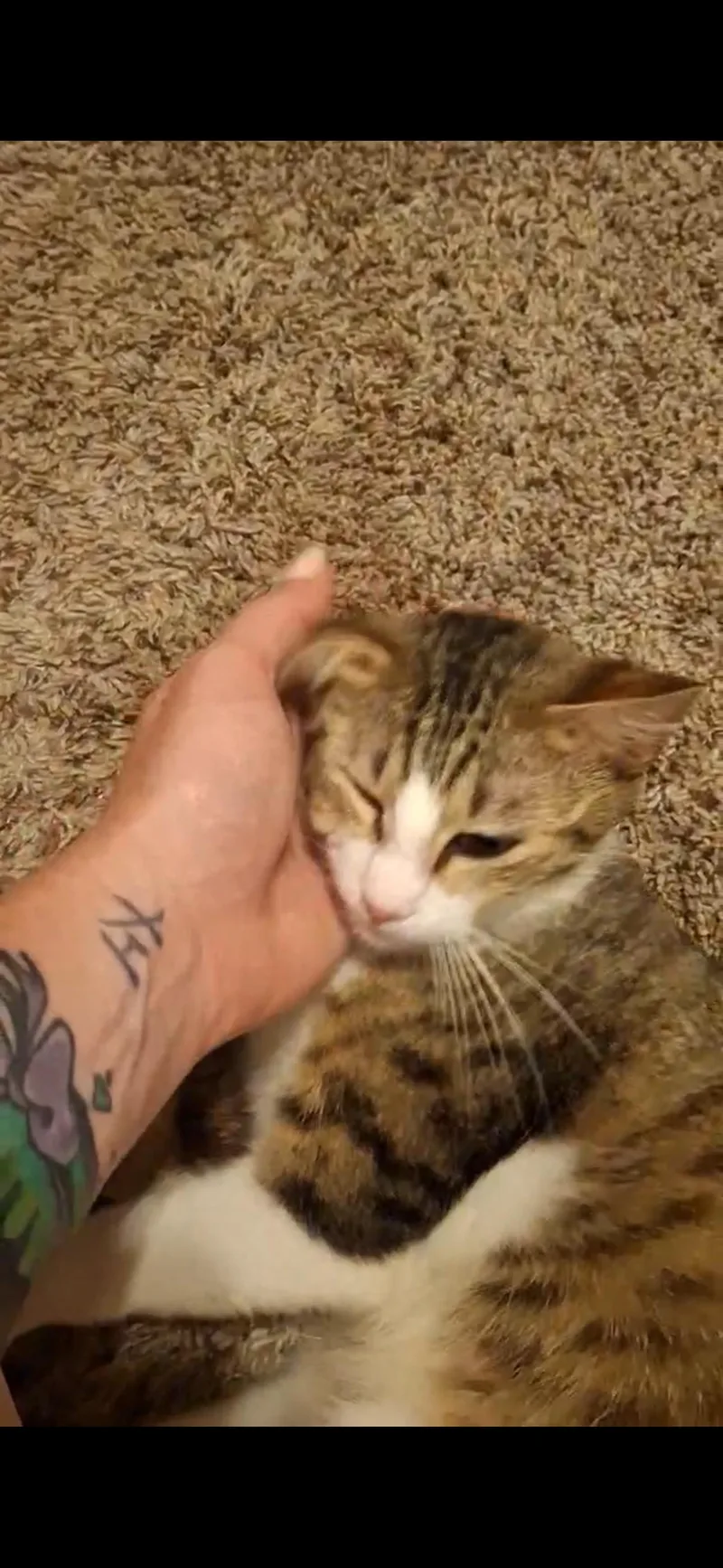 Maggie thumbnail 3