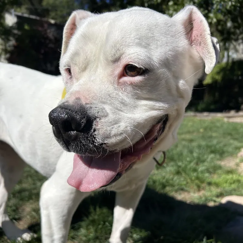 Daley Mae thumbnail 2