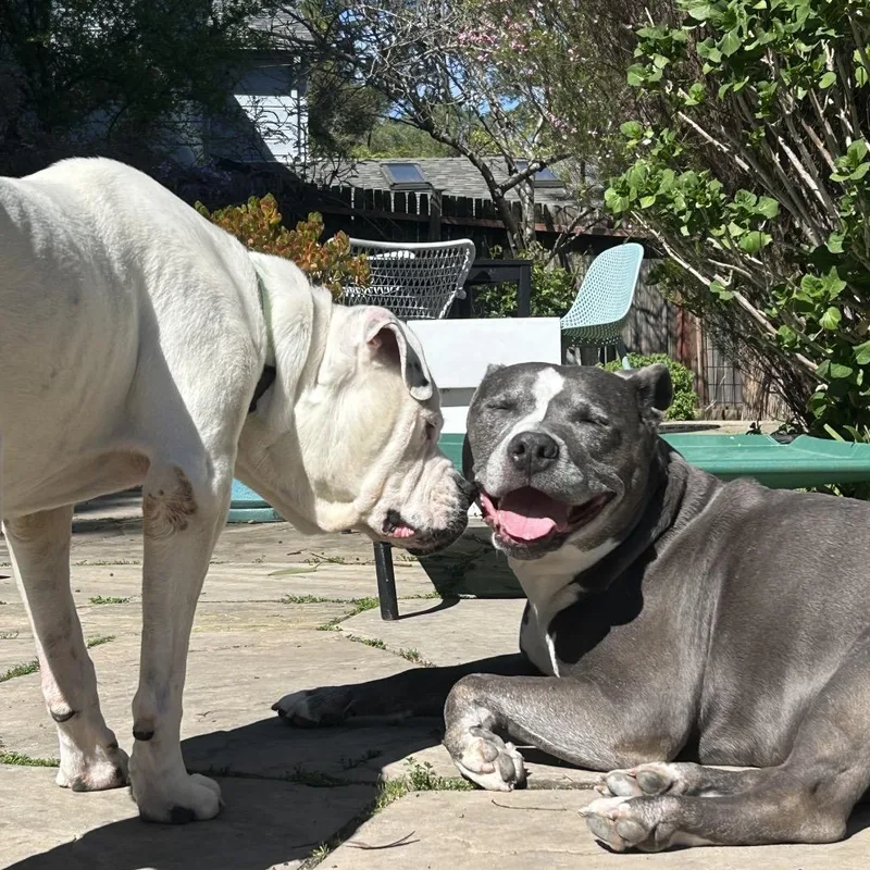 Daley Mae thumbnail 5